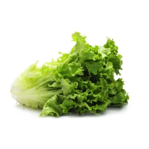 INSALATA GENTILE AL KG